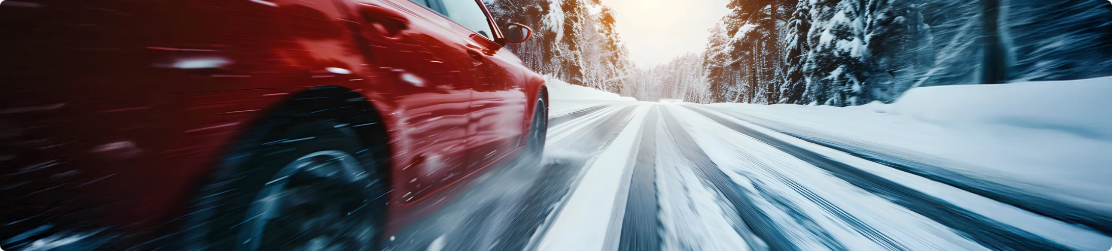 Winterreifen online entdecken – Alfa Tires